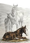 mare foal art