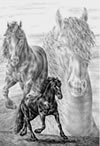 friesian horse art