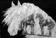 black feathered horse art