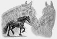 friesian horse art