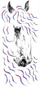 contemporary friesian art