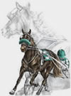 Harness Racing Art