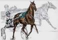 Harness Racing Drawing