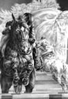 competition horse jumping