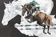 horse jumping