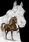 morgan horse art