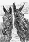mule art