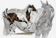 painted horses art