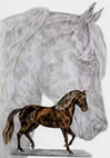 paso fino horse art