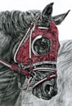 horse reflection drawing