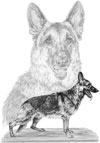 german shepherd dog note card