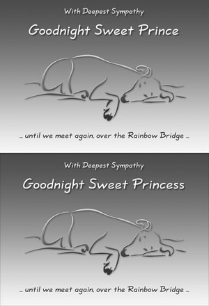 Goodnight Sweet Prince Dog Sympathy Card