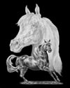 Arabian Horse Note Cards