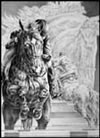 Jumper Horse Note Card