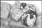 Greyhound Dog Note Card