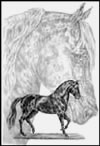 Paso Fino Horse Note Card