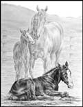 Dressage Piaffe Note Card
