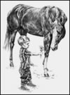 Boy and Horse Note Card