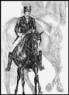 Dressage Note Cards