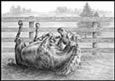 Rolling Horse Note Cards