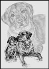 Lab and Puppy Dog Note Card
