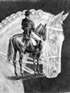 Dressage Horse Note Card