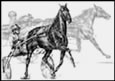 Harness Racing Note Cards