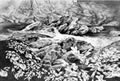 black white landscape print