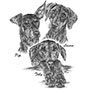 Three Doberman Pinscher Dogs - Custom Pencil Portrait