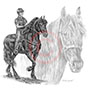 Pencil Portrait Drawing of Friesian Mounted Patrol