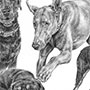 Custom drawing of four dogs