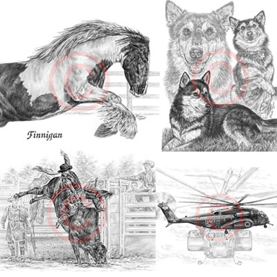 Custom Pencil Portraits of Pets and Other Subjects by Kelli Swan