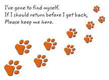 Paw Prints - Gone to Find Myself design