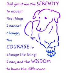 Dog and Serenity Prayer