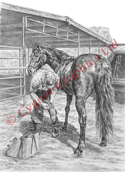 Blacksmith/farrier trimming horse - pencil drawing by Kelli Swan